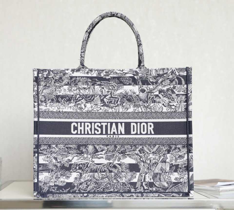 Dior Book Tote